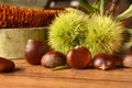 Pile of chestnut with hedgehog - wood background Royalty Free Stock Photo
