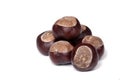 A pile of chestnuts, conkers isolated on white background, closeup