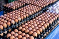 A pile of Chicken eggs in black plastic trays