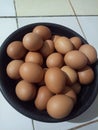 a pile of chicken eggs brown natural Royalty Free Stock Photo