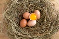 Pile of chicken eggs, egg yolk in broken egg on dry grass nest. Bio and eco farming, bio food products. Top view Royalty Free Stock Photo