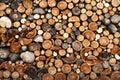 Pile of chopped fire wood Royalty Free Stock Photo