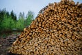 Pile of chopped fire wood. Royalty Free Stock Photo