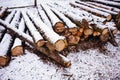 Pile of chopped fire wood prepared for winter Royalty Free Stock Photo