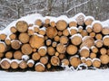 Pile of chopped fire wood prepared for winter