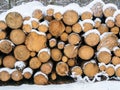 Pile of chopped fire wood prepared for winter Royalty Free Stock Photo