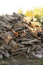 Pile of chopped fire wood prepared for winter. Preparation of firewood for the winter