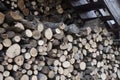 Pile of chopped fire wood prepared for winter. Preparation of firewood for the winter