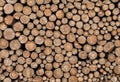 Pile of chopped fire wood prepared for winter time Royalty Free Stock Photo