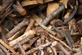 Pile of chopped firewood prepared for winter. Close-up.