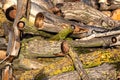 Pile of chopped firewood prepared for winter. Close-up.