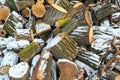 Pile of chopped firewood