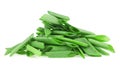 Pile of chopped fresh green onions isolated on white background. Chopped spring onion or scallion Royalty Free Stock Photo