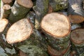 A pile of chopped tree logs outdoors on a summer day in a forest. Closeup of brown wooden texture background of sawn