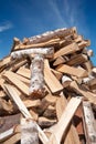Pile of chopped tree trunk Royalty Free Stock Photo