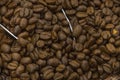 Pile of coffee beans on a table Royalty Free Stock Photo