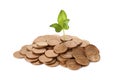 Pile of coins and green plant on white background. Investment concept Royalty Free Stock Photo