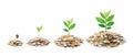 Pile of coins with growing plant Royalty Free Stock Photo