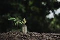 Pile of coins is placed on the soil and a plant grows on it Royalty Free Stock Photo