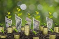 Pile of coins and rolled bank note with plant on top