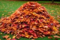 pile of colorful autumn leaves on a freshly raked lawn