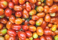 Pile of colorful cherry tomatoes background for sale in local market, top view and full frame Royalty Free Stock Photo