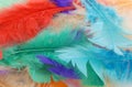 Pile of colorful feathers Royalty Free Stock Photo