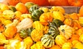 Pile of colorful gourds at tropical market