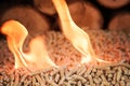 Pile of coniferous pellets in flames - wooden biomass Royalty Free Stock Photo