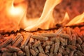 Pile of coniferous pellets in flames - wooden biomass Royalty Free Stock Photo