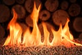 Pile of coniferous pellets in flames - wooden biomass Royalty Free Stock Photo