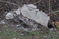 A pile of construction debris from pieces of gray concrete in green grass