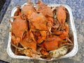 Pile of cooked blue crabs sprinkled with salt and old bay seasoning Royalty Free Stock Photo