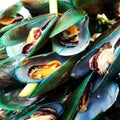 Pile of cooked mussel Royalty Free Stock Photo