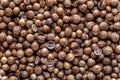 Pile of Coriander seeds. A mixture of different spices close up. Textures of colorful spices and condiments.Colorful Herbal and