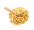 Pile of corn kernels isolated Royalty Free Stock Photo