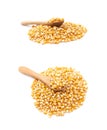 Pile of corn kernels isolated Royalty Free Stock Photo