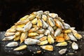 A pile of corn sitting on a table, great for food or decoration shots Royalty Free Stock Photo