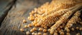 Pile of Corn on Wooden Table Royalty Free Stock Photo