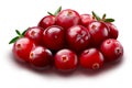 Pile of cranberries, paths Royalty Free Stock Photo