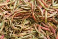 Pile of Cranberry Beans Royalty Free Stock Photo