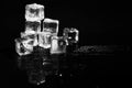Pile of crystal clear ice cubes on black background. Royalty Free Stock Photo