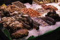 A pile of ctabs, shrimps, echinus and lobsters on ice at a fish market in Barcelona. Fresh healthy seafood. Royalty Free Stock Photo