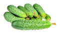 Pile of cucumbers with dry flowe isolated over white