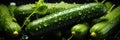 A Pile Of Cucumbers With Water Droplets On Them