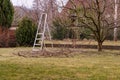 Pile of cut branches on the ground under tree. Branches are everywhere. Small ladder in corner. Trimming branches. Spring work.