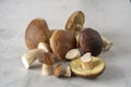 A pile of cut forest mushrooms on a concrete kitchen table. Cep mushroom; Boletus; Borovik. Royalty Free Stock Photo