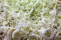 Pile of cut leek Royalty Free Stock Photo