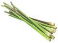 Pile of cut Lemongrass stems Cymbopogon citratus isolated