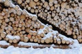 A Pile of Cut Logs Covered in Snow